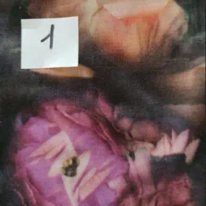 הדפס 1_229-231